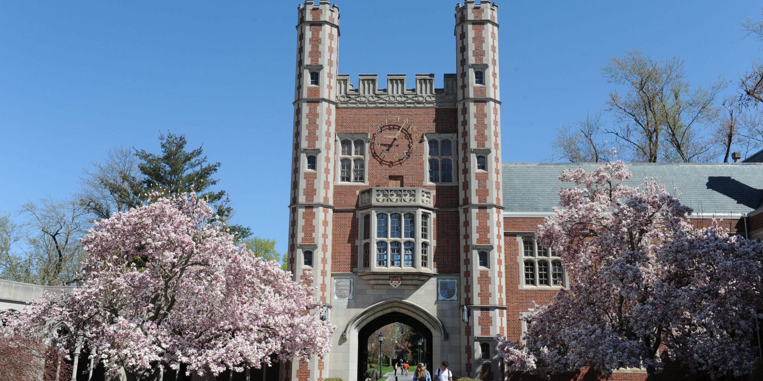 教堂 at Trinity College with Pink Blooming Trees