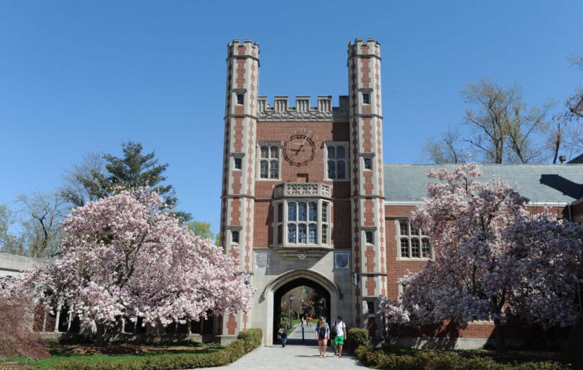 教堂 at Trinity College with Pink Blooming Trees